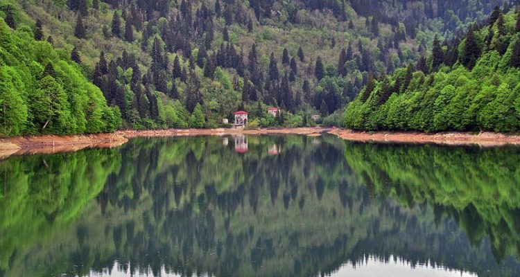 Живописная Грузия   (4 дня)