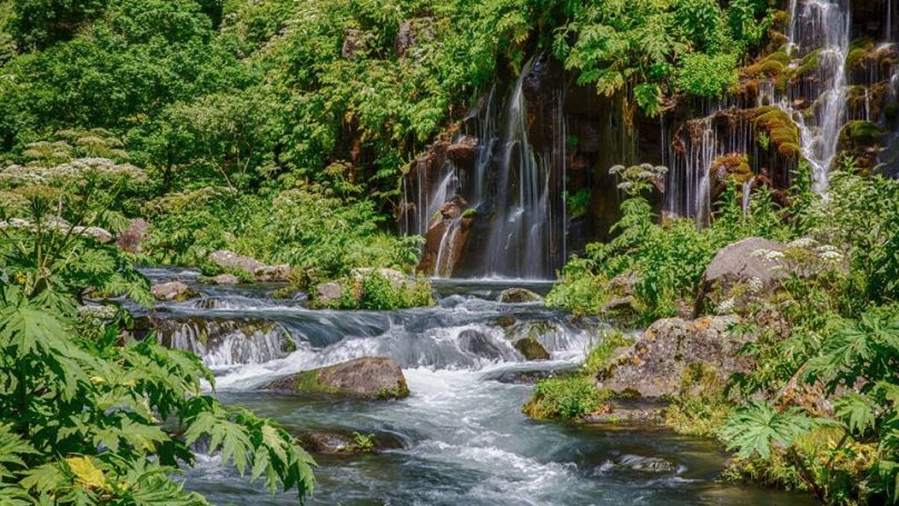 Великолепие Грузии     (6 дней)